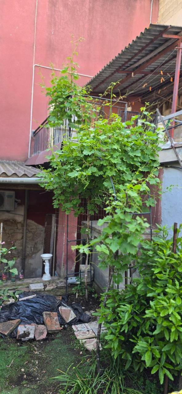 Appartamento In Casa Con Cortili Ad Arbus - Sardegna Екстериор снимка